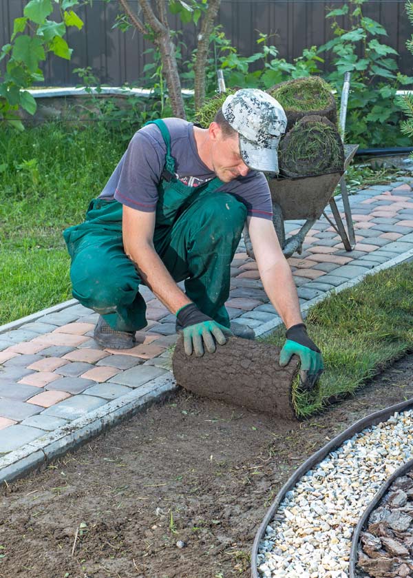 landscaper laying down grass.